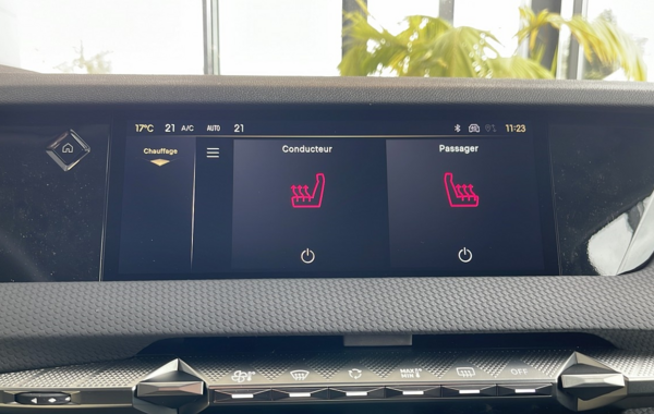 ds-ds-4-bluehdi-130ch-pallas-automatique - 60818575
