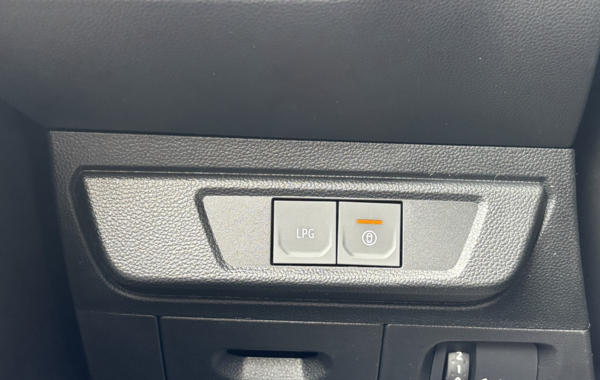 dacia-sandero-1-0-eco-g-100ch-stepway-expression-24 - 148624686