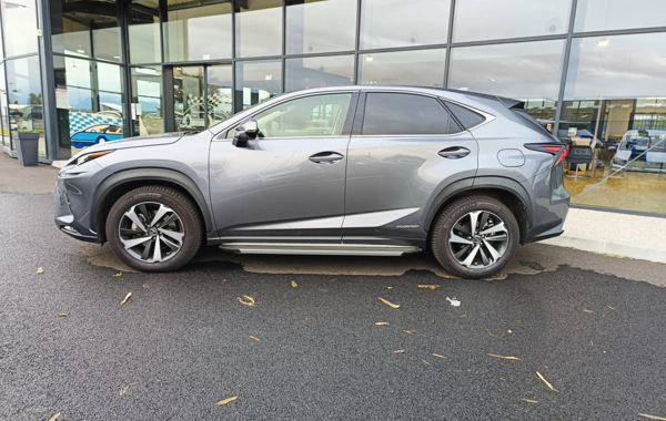 lexus-nx-300h-2wd-executive - 675594713