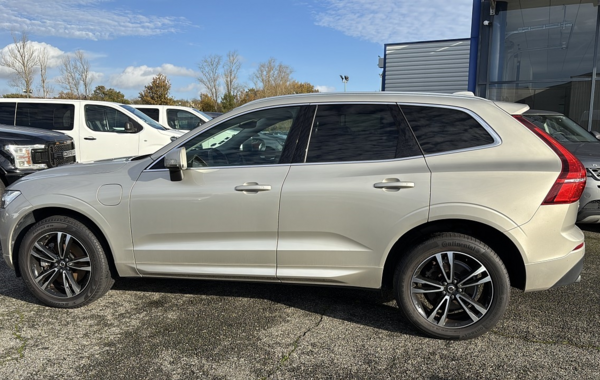 volvo-xc60-t8-twin-engine-303-87ch-business-executive-geartronic - 792744713