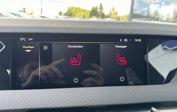 ds-ds-4-bluehdi-130ch-pallas-automatique - 818494713