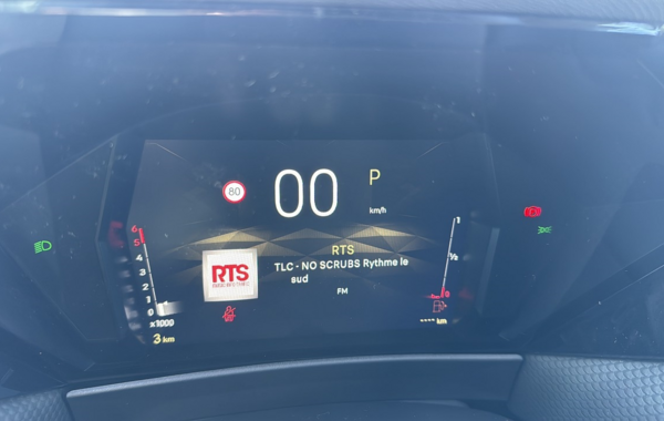 ds-ds-4-bluehdi-130ch-pallas-automatique - 818634713