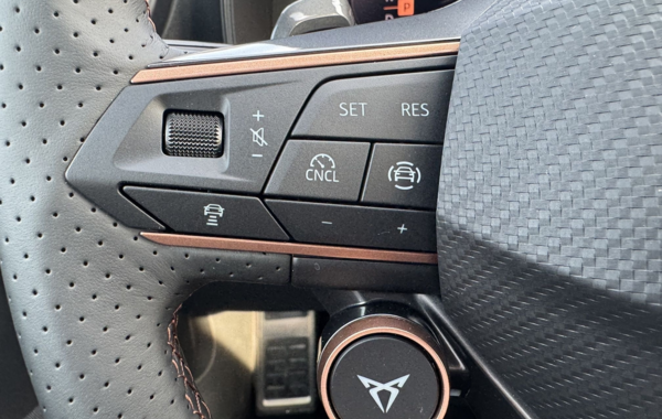 cupra-formentor-2-0-tdi-150ch-v-dsg7 - 869784713