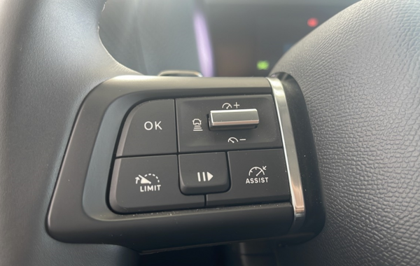 citroen-c4-x-puretech-130ch-s-s-shine-eat8 - 53628575