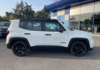 jeep-renegade-1-5-turbo-t4-130ch-mhev-summit-bvr7 - 871664713